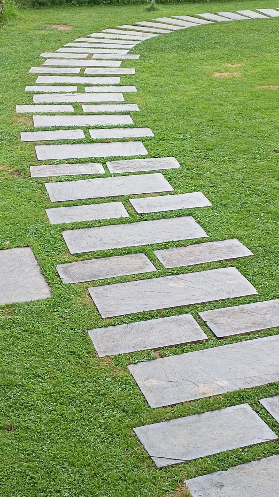 'Xemil' Japanese slate steps